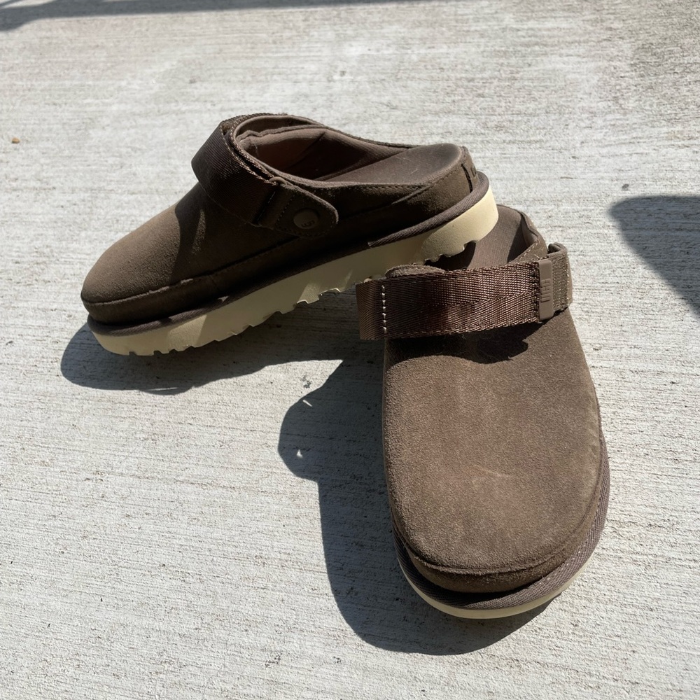 Chestnut Goldenstar Clog